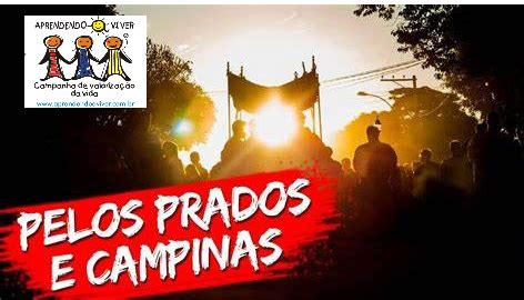 Pelos Prados E Campinas Salmo 23 Aprendendo A Viver Palestras