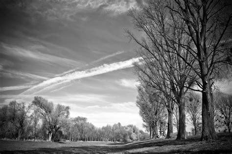 Free Images Landscape Nature Forest Grass Snow Winter Light