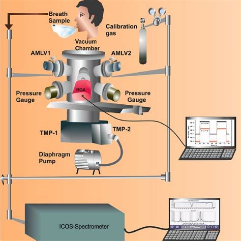 A Residual Gas Analyzer Mass Spectrometer RGA MS Coupled With A High