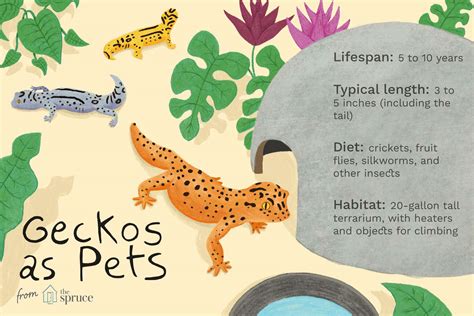 A Guide to Caring for Common House Geckos as Pets