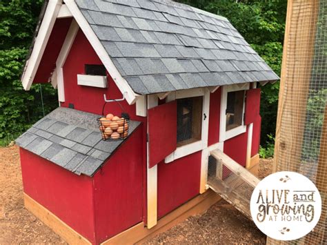 Our Backyard Chicken Coop - Alive and Growing at Home