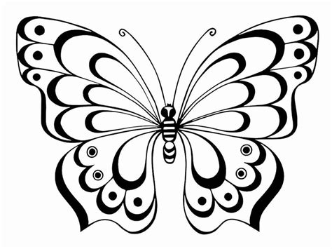 61 Desenhos da Borboleta para Imprimir e Colorir – 123 Colorir