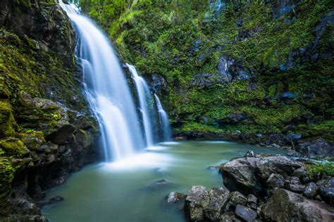 Fotos Gratis Naturaleza Bosque Cascada Arroyo Oto O R O Plantas