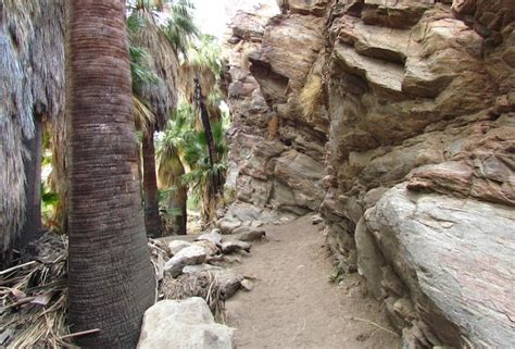 Murray Canyon Trail Offers Rare Waterfall in the Desert