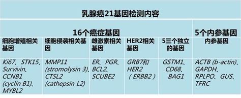 乳腺癌21基因预后检测复发风险值知多少