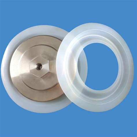 Gm Ptfe Diaphragm Use For Miltonroy Pneumatic Diaphragm Pump China