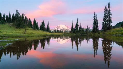 Mount Rainier National Park Guide: Everything You Need to Know