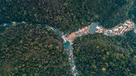 Así Se Ve La Deforestación De La Selva Lacandona Desde Las Alturas