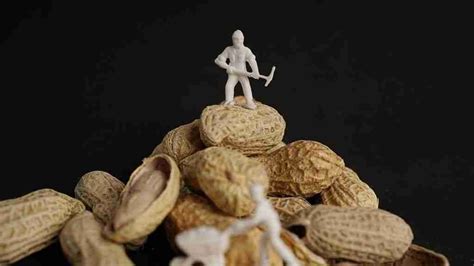 Can You Eat Peanut Shells The Crunchy Conundrum Nutrition Aspect