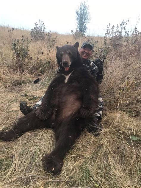 Whiskey Mountain Outfitters Idaho Bear Cougar And Elk Guided Hunts