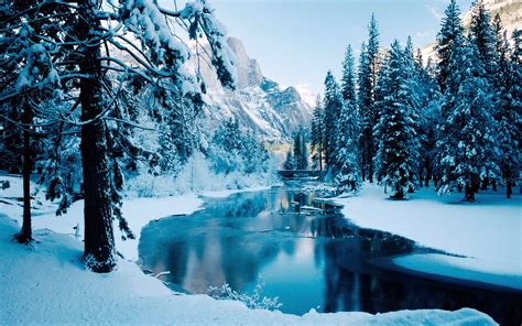 Winter Snow River Forest Reflection Wallpapers HD Desktop And