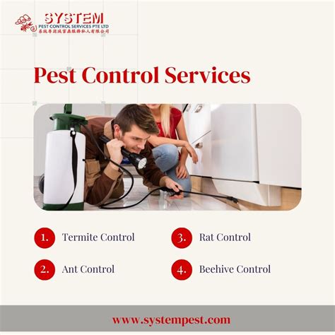 System Pests Affordable Termite Control In Singapore Social Social