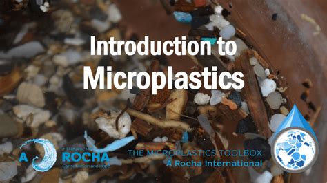 microplastics types impacts pollution