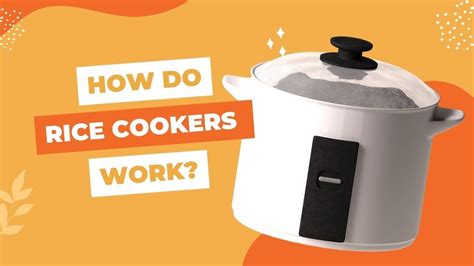 The Science Behind Perfect Rice How Rice Cookers Work Youtube