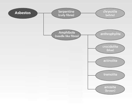 asbestos classes vinson law