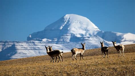 Easy-to-use Guide for Mt.Kailash Inner Kora