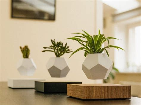 Best Floating Plant Pots Levitate Your Plants Mid Air