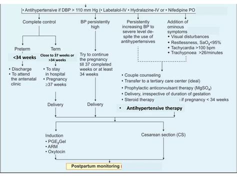 Hypertensive Disorder In Pregnancy PPT