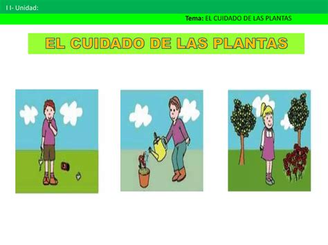 El Cuidado De Las Plantas Ppt Descarga Gratuita