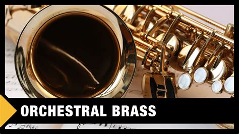 Best Orchestral Brass VST Libraries in the World - Professional Composers