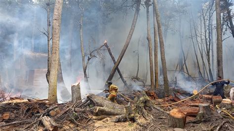 Se Encuentra Totalmente Prohibido Hacer Fuego En Zonas Agrestes En Toda