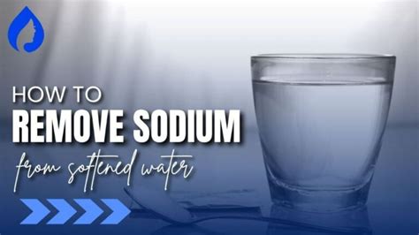 How To Remove Salt From Softened Water 5 Easy Methods