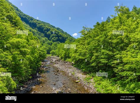 Oirasegawa Hi Res Stock Photography And Images Alamy