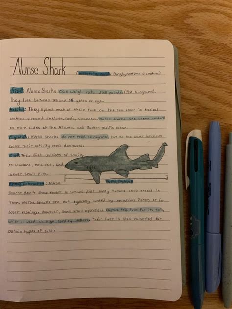 Nurse Shark Notes In Marine Biology Schools Oceanography