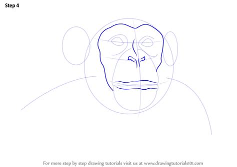 Learn How to Draw Chimpanzee Face (Other Animals) Step by Step ...