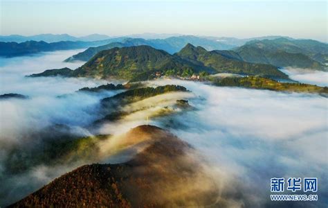 林下“裂變”山間“藏寶”——國家生態文明試驗區貴州的“綠色減貧”之路 新華網