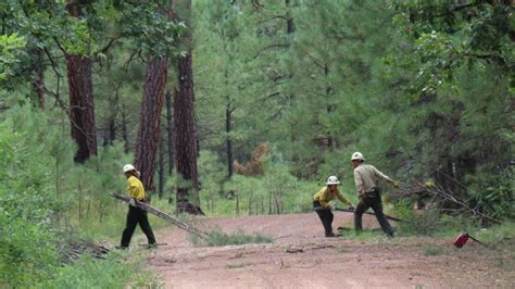 There's still a danger of wildfires, Arizona officials say | Fronteras