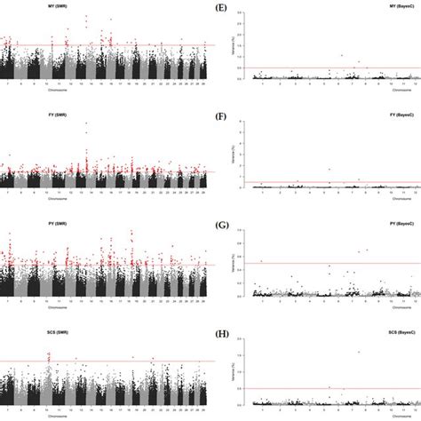 Manhattan Plots For Genome Wide Association Studies Gwas Based On The