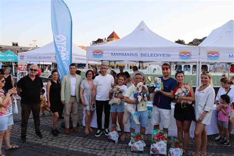 Marmariste Patili Dostlar Festivalde Bulu Tu Bodrum Kapak Haber