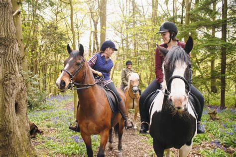 Safer Horseback Riding Wearing Protective Equipment