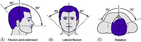 Cervical Spine Range Of Motion Chart