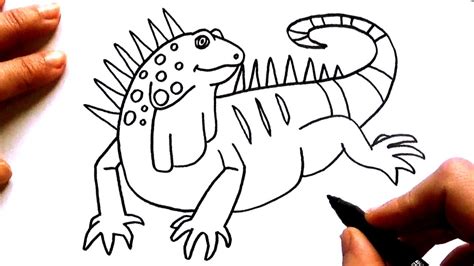 CÓMO DIBUJAR UNA IGUANA PASO A PASO FÁCIL YouTube