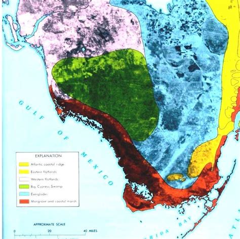 Environment Of Florida Ecosystems In Florida