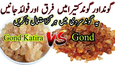 Difference Between Gond And Gond Katira Gond Katira Vs Gond Gond