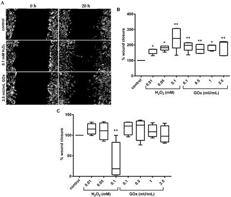 Ijms Free Full Text Oxidative Stress Response In Adipose Tissue