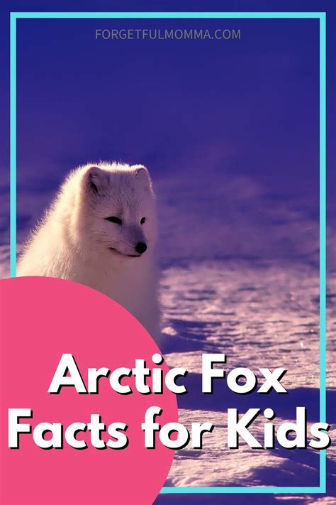 Arctic Fox Facts For Kids Artofit