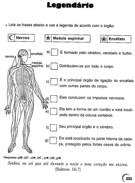 Atividades De Ciências Sobre O Sistema Nervoso Em Sala De Aula