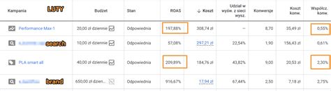 Kampania Performance Max Blaski I Cienie Przeczytaj Jak Uzyskali My