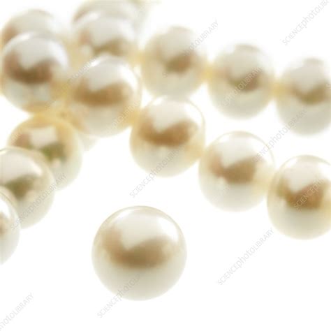 Pearls Stock Image F012 1216 Science Photo Library