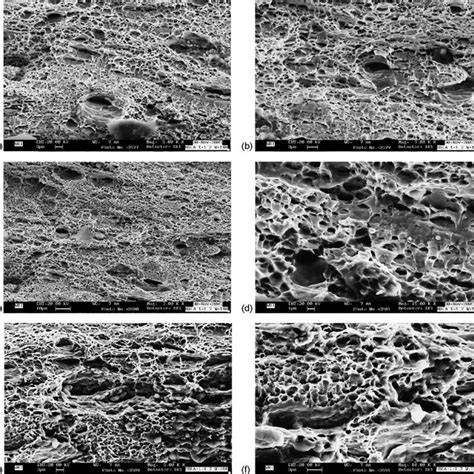 Microstructure of different steels. (a) Microstructure of HSLA steel at ...