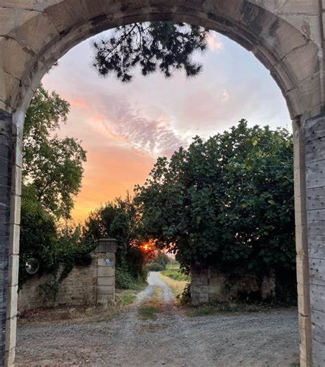 Franck Manigand la nouvelle génération de vigneron Vigneron au