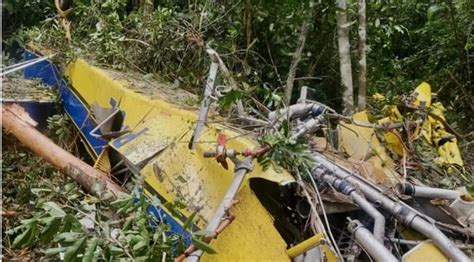 Avião agrícola cai em mata após manobra e piloto morre O Livre