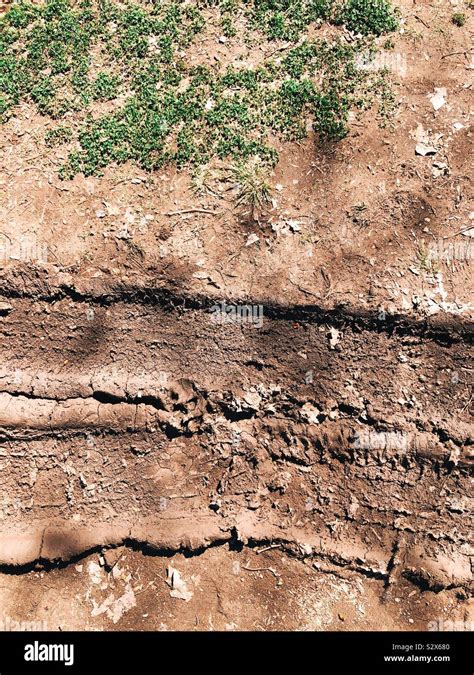 Mud Tyre Tracks Stock Photo Alamy