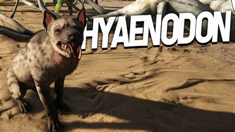 ARK: Hyaenodon - How to Tame, Feed and Breed!