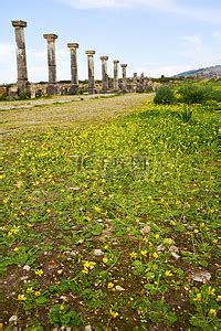 摩洛哥非洲的 volubilis 老黄花高清摄影大图 千库网