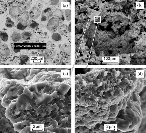 Structure Consisting Of A Macropores A Polished Section And